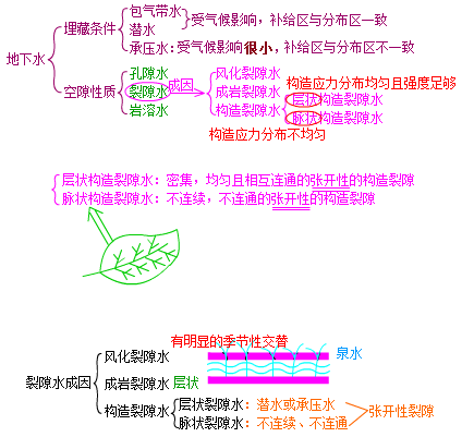 圖片41